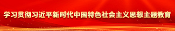 大屌狂插视频学习贯彻习近平新时代中国特色社会主义思想主题教育